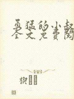 勇猛的小叔小说全文免费阅读