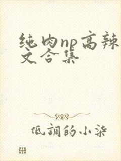 纯肉np高辣h文合集