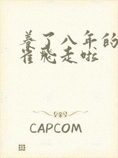 养了八年的金丝雀飞走啦封面