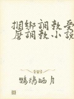 捆绑调教受虐折磨调教小说