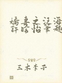 娇妻之泛海之舟许晗怡笔趣阁封面