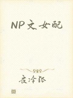 NP文女配