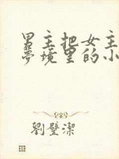 男主把女主拖进梦境里的小说