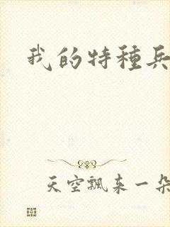 我的特种兵男友