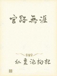 官路无涯封面