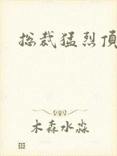 总裁猛烈顶弄h封面