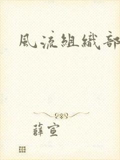 风流组织部长封面