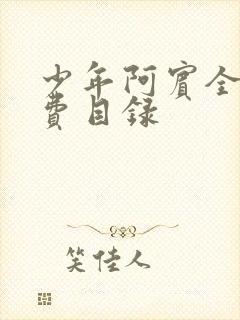 少年阿宾全文免费目录封面