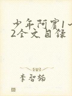 少年阿宾1～72全文目录