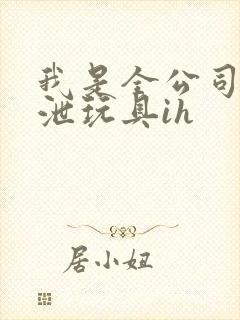 我是全公司的发泄玩具ih