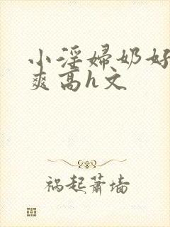 小淫妇奶好大好爽高h文