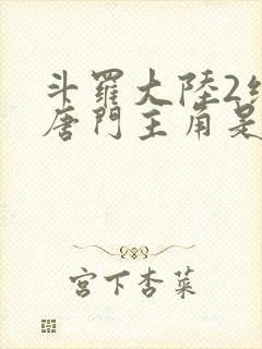 斗罗大陆2绝世唐门主角是谁