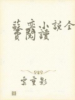 苏奕小说全文免费阅读