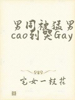 男同被猛男房东cao到哭Gay封面