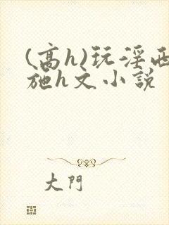 (高h)玩淫西施h文小说
