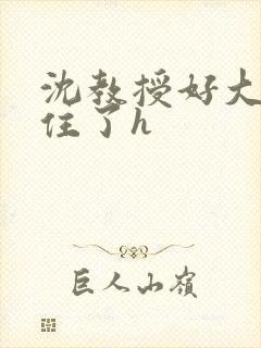 沈教授好大含不住了h