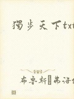 独步天下txt