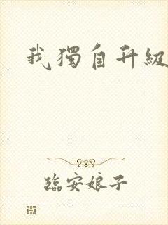 我独自升级小说