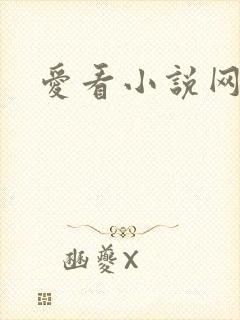 爱看小说网