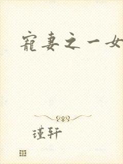 宠妻之一女二夫封面