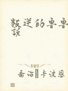 叛逆的鲁鲁修小说