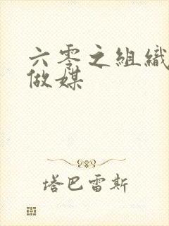 六零之组织给我做媒