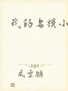 我的名模小娇妻封面