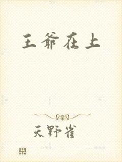 王爷在上