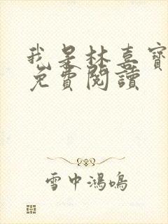 我是林喜宝小说免费阅读