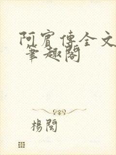 阿宾传全文阅读 笔趣阁封面