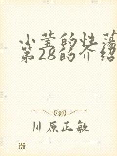 小莹的性荡生活第28的介绍封面