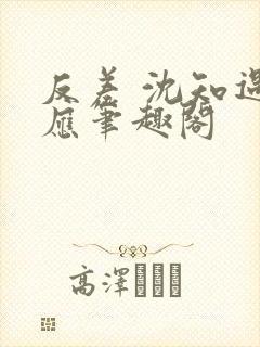 反差 沈知遇晏应笔趣阁