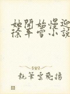 她开始慢迎迎合徐平雪小说封面