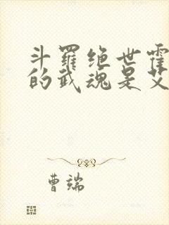 斗罗绝世霍雨浩的武魂是艾露猫笔趣阁