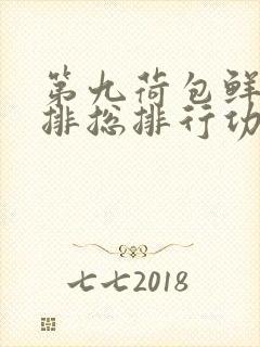 第九荷包鲜辣肉排总排行功能介绍