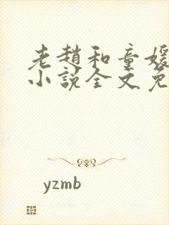 老赵和童媛媛的小说全文免费阅读封面