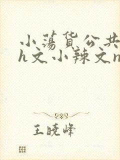 小荡货公共场所h文小辣文np封面