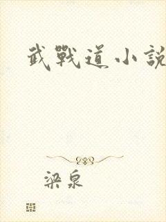 武战道小说