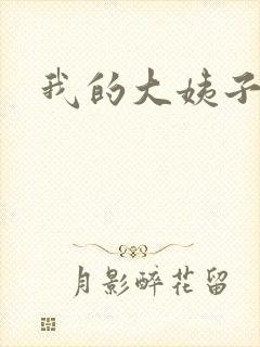 我的大姨子封面