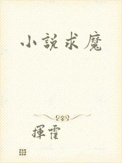 小说求魔封面
