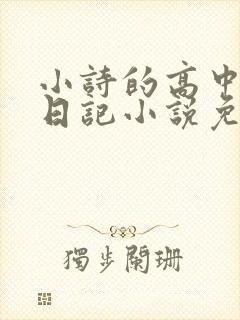 小诗的高中成长日记小说免费阅读