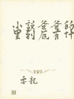 小说爸爸的书房里到底有什么