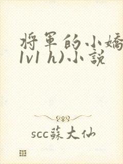 将军的小娇妻(1v1 h)小说