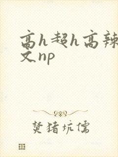 高h超h高辣h文np封面