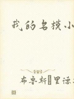 我的名模小娇妻
