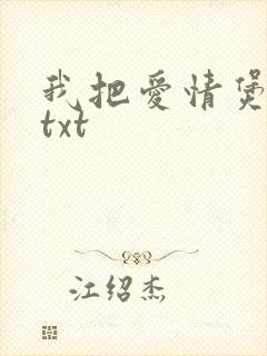 我把爱情煲成汤txt