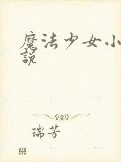 魔法少女小圆小说封面