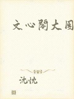 文心阁大团结封面