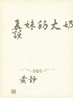 表妹的大奶子小说