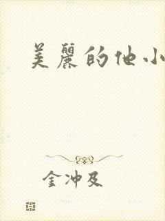 美丽的他小说